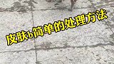 在日常生活中小狗常见的一些皮肤B怎么去处理