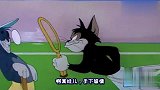 爆笑四川话，汤姆猫跟黑娃两个武林高手打网球闹笑话笑得肚儿痛
