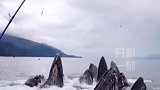 你不说我还以为你钓到哥斯拉了呢。搞笑 开心一刻