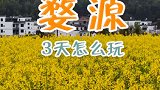 这是我见过最漂亮的油菜花园