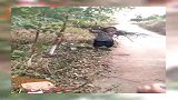 爱笑的奶奶，上山背柴