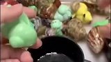 网友男朋友就爱养寄居蟹，每周固定给它们换新家，每个月搬家费就不少花