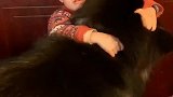 准备教育下犯错的狗子，没想到熙哥冲上来就护到还和我对吼