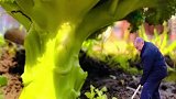 可可爱爱！福利院为爷爷奶奶拍小人国创意照