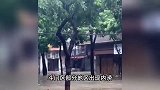 64岁司机台风天“驾车造浪”不听劝阻冲坏店门,警方通报:行拘