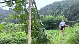 小莉第一次做丝瓜炒面，色香味俱全，好吃到舔盘