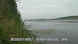 雨后钓鱼碰到鱼窝，鲫鱼连杆口这么好，拿起鱼护的瞬间鱼都沸腾了