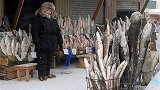 世界上最冷的地方，菜市场没有蔬菜只有鱼，而且还没有活鱼