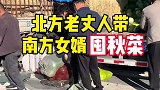 北方老丈人带南方女婿囤秋菜