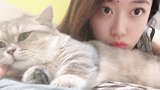 出门摸了别的猫，回来哄了七仔老半天