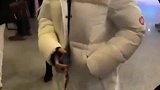 看到粉丝的浮夸演技，赵露思笑得直不起腰，皮一下很开心！