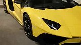 兰博基尼大黄牛  夜色中最美的风景