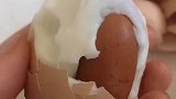 女子煮鸡蛋发现罕见蛋中蛋