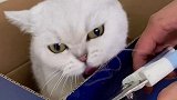 感觉智商被碾压………………………………为什么这么对我……