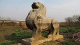 “国家级文物”萧衍陵墓石刻遭某高校学生盗拓