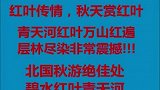 北方三峡青天河景区，又到红叶灿烂时，不容错过！