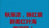 北方三峡青天河景区，又到红叶灿烂时，不容错过！