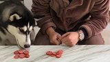 谁先吃完香肠钱就归谁结果我笑了