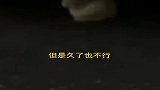 上海女车主彻夜不熄火，只为给流浪猫取暖，有钱真豪横啊！