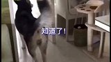 笑得眼泪都出来了！