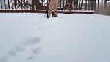 下雪了！美女去踩雪玩！居然穿的是暗红色花纹高跟鞋！