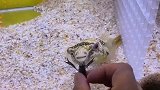小豚子你这是啥眼神呀？