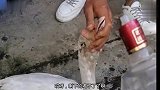 猫：应该是放辣椒了，舌头有点麻啊