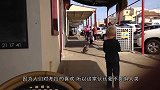 考拉被铁丝勾住了脖子，同伴上前帮忙，不料考拉一巴掌扇过去：疼