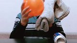 气球吸易拉罐