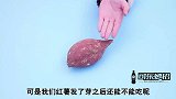 家里发芽的红薯也别扔，姑娘简单利用放家里，朋友见了都夸赞