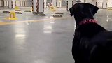 时隔两年再相见，确认再确认