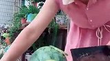 原来网红瓜是这样切出来的