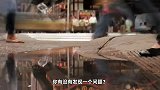 下一个让你一夜暴富的风口到底在哪