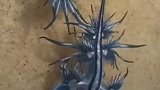 国外小哥在沙滩上发现一个奇怪的生物，好奇带回家后竟带来意外惊喜