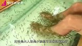 女孩在国外鱼疗，导致鱼儿全翻白眼还赔了5万，真相让人哭笑不得