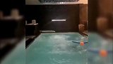 这姿势打几分？乔妹迷你罗玩跳水 小朋友大长腿入水美如画