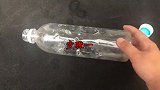 扦插植物不用土，只需一个塑料瓶，枝条越长越水灵