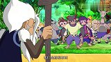 森林使者：猴子爷爷真慈祥，看着就好看，好可爱啊