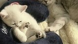 没毛病吧