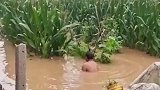 民以食为天，家都被淹了也得吃顿好的