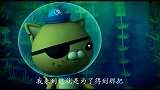 海底小纵队：呱唧独自一人沉浮在大海中