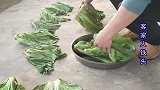 客家传统酸菜和水碌菜做法，10斤菜做两种，脆嫩酸爽比买的还好吃
