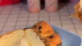 肉松小贝真的太好吃了吧，满满的肉松包裹