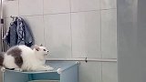 上洗衣机的正确方式。冬至：无敌是多么寂寞。