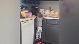 宝宝翻到柜子上，拿完东西再下来，真是太厉害了！
