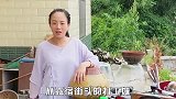 川乡小妹儿靠姐夫走红，却翻脸不认人