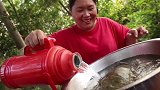胖妹做甲鱼烧红烧肉，秋天第一份红烧肉，暖暖大洋的心