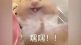小仓鼠倾情演绎，你有女朋友的样子，太可爱了