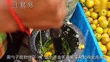 印度小贩的水果吃法火了制作过程像捣蒜一样,一群人围着买