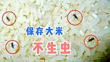 大米生虫不用晒，粮店老板教我个方法，大米放一年都不生虫，厉害